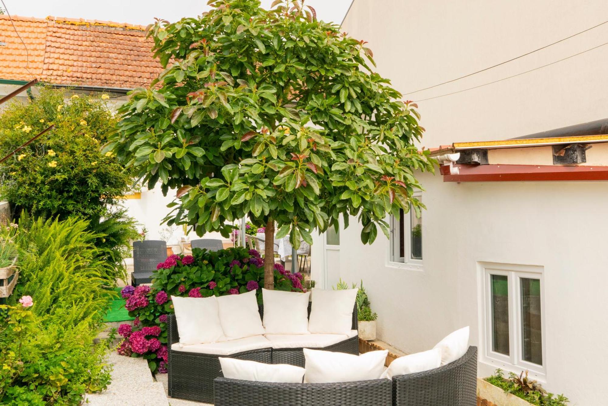Bed and Breakfast Growth House OOporto Exterior foto